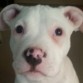 3 meses de destruccion total.